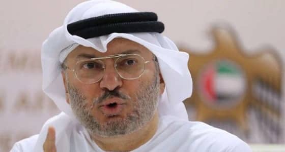 « قرقاش » يعلق على فشل المظاهرات الإخوانية الموجهة بمصر