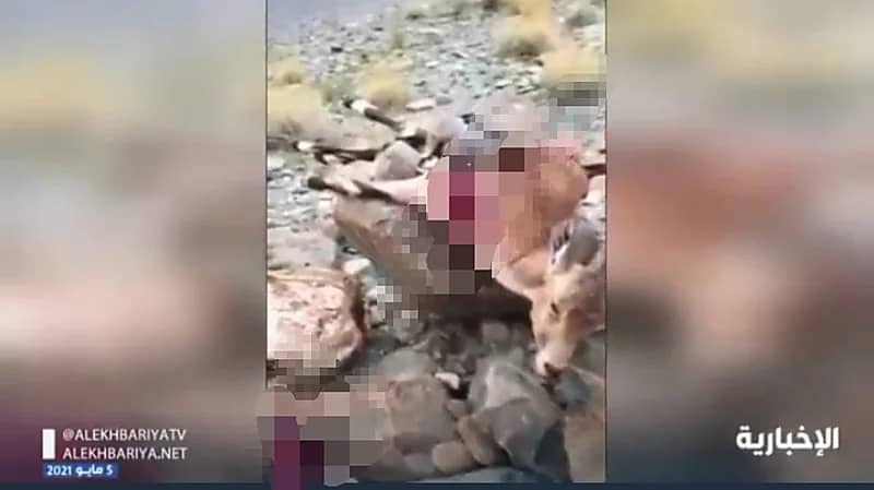 بالفيديو.. «الحياة الفطرية»: رصدنا مخالفة الصيد الجائر للوعول الجبلية وجاري التحقق