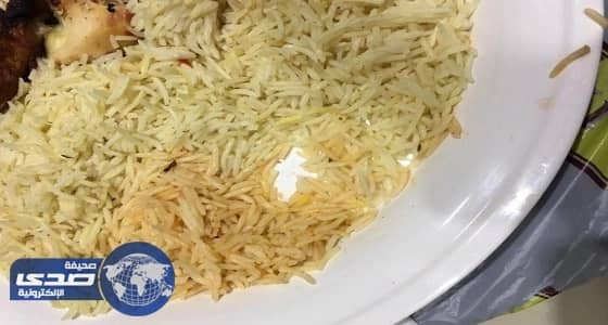 بالصور.. مواطن يكتشف حشرات في وجبة طعام بالطائف