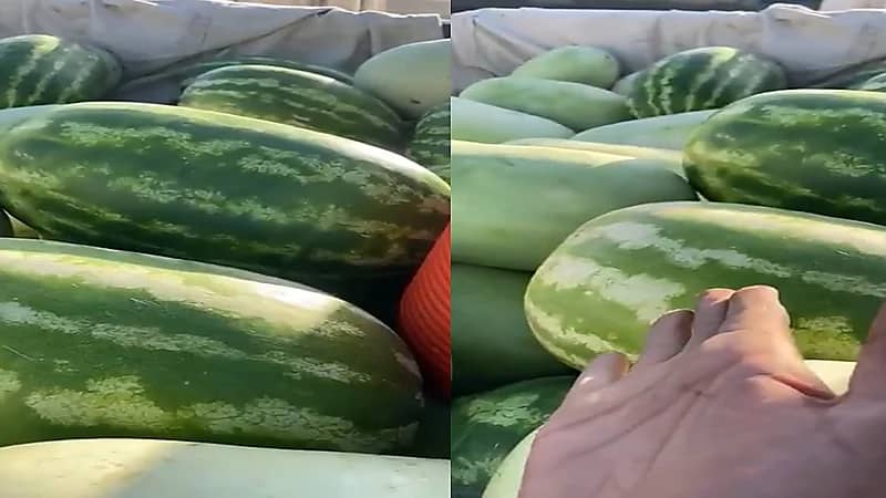 بيان من أمانة حائل بخصوص عدم السماح لمواطن بالبيع على الطريق