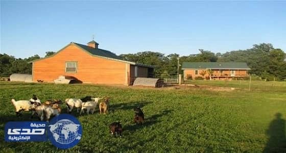 العثور على خاتم زواج بخزان سماد مفقود منذ 37 عاماً