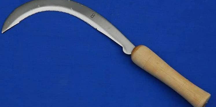 فتاة هندية تنتقم من خطيبها ببتر عضوه التناسلي بمنجل