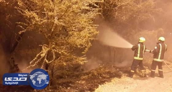 إخماد حريق بمدرجات زراعية امتد لـ " جبلين " بللحمر