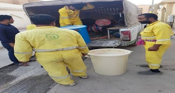 بالصور.. ضبط عمالة مخالفة تعد العجائن بدون شهادات صحية بالرياض