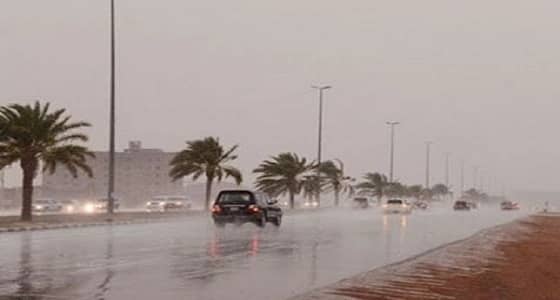 بالفيديو.. حالة الطقس المتوقعة ليوم الأحد