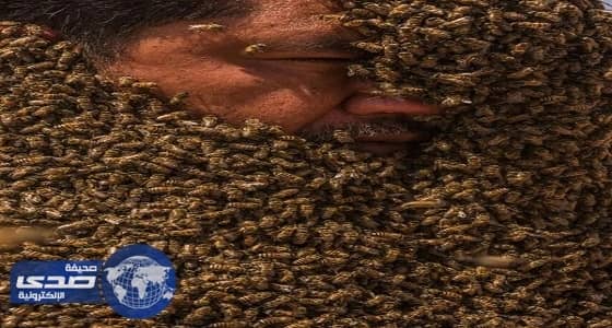 بالصور.. «فطاني» يفشل في تغطية جسمه بـ«أثقل عباءة من النحل»