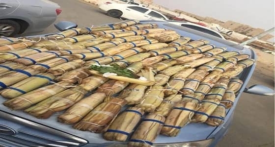بالصور.. ضبط 200 حزمة من القات المحظورة و19 حبة كبتاجون بجازان