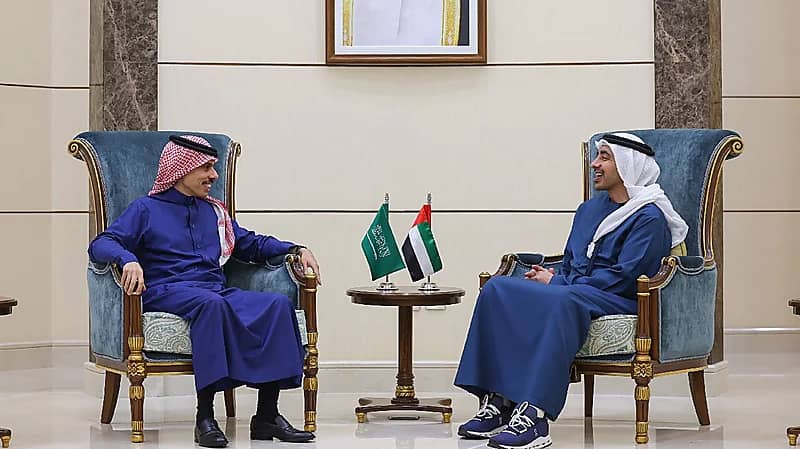 وزير الخارجية يلتقي وزير الخارجية الإماراتي