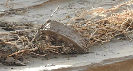 سيول اليمن تُعري الحوثيين.. الأمطار تكشف عن كم هائل من الألغام في البقع