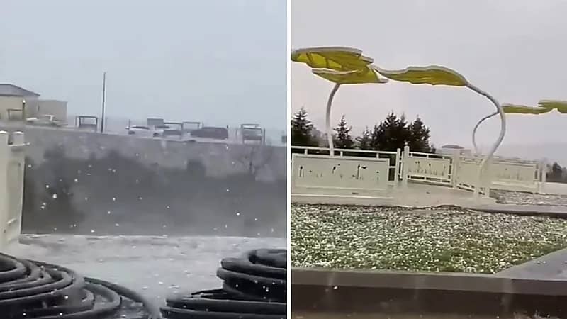 بردية غزيرة في الباحة .. فيديو