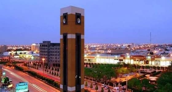 أمانة حفر الباطن تعلق على هجوم كلاب ضالة على طفلة وإصابتها