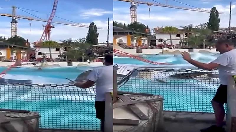 إصابة 7 أشخاص خلال سقوط مروع باستعراض بمدينة ملاهي .. فيديو