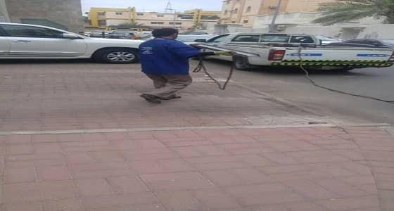 إزالة إشغالات المواقع العامة بمكة