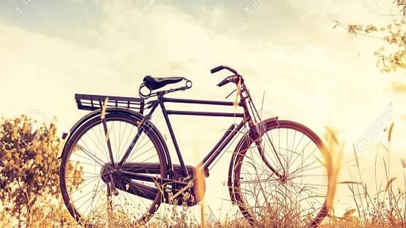 أصل كلمة «السيكل» التي تطلق على الدراجة