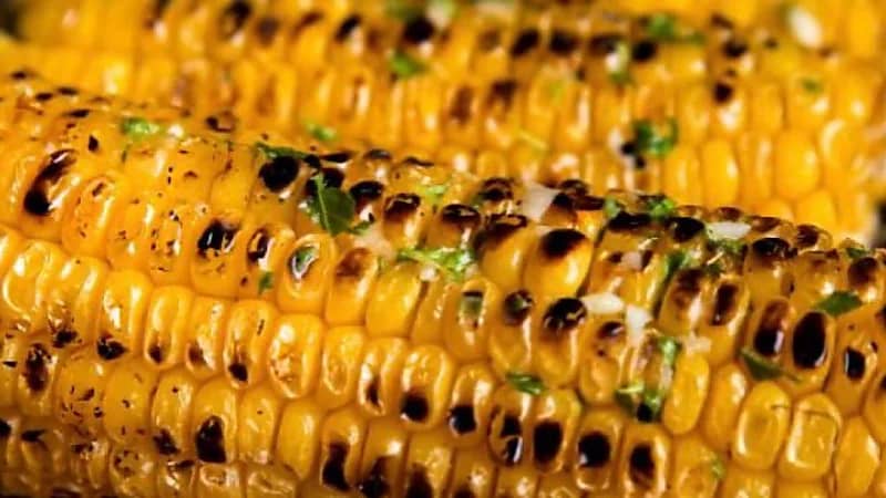 6 فوائد تجعلك تتناول الذرة المشوي