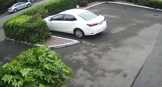 " فيديو " يرصد جانبا جديدا من حادث الهجوم الإرهاربي بنيوزيلندا