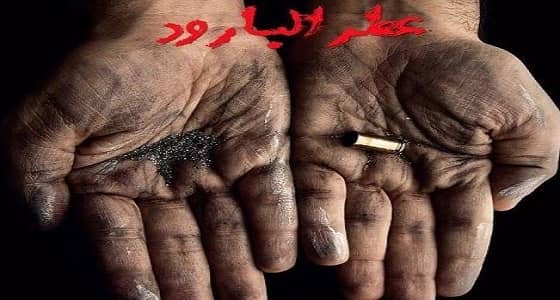 بالفيديو.. برومو أول فيلم يجسد مشاهد حقيقية من بطولات الحد الجنوبي