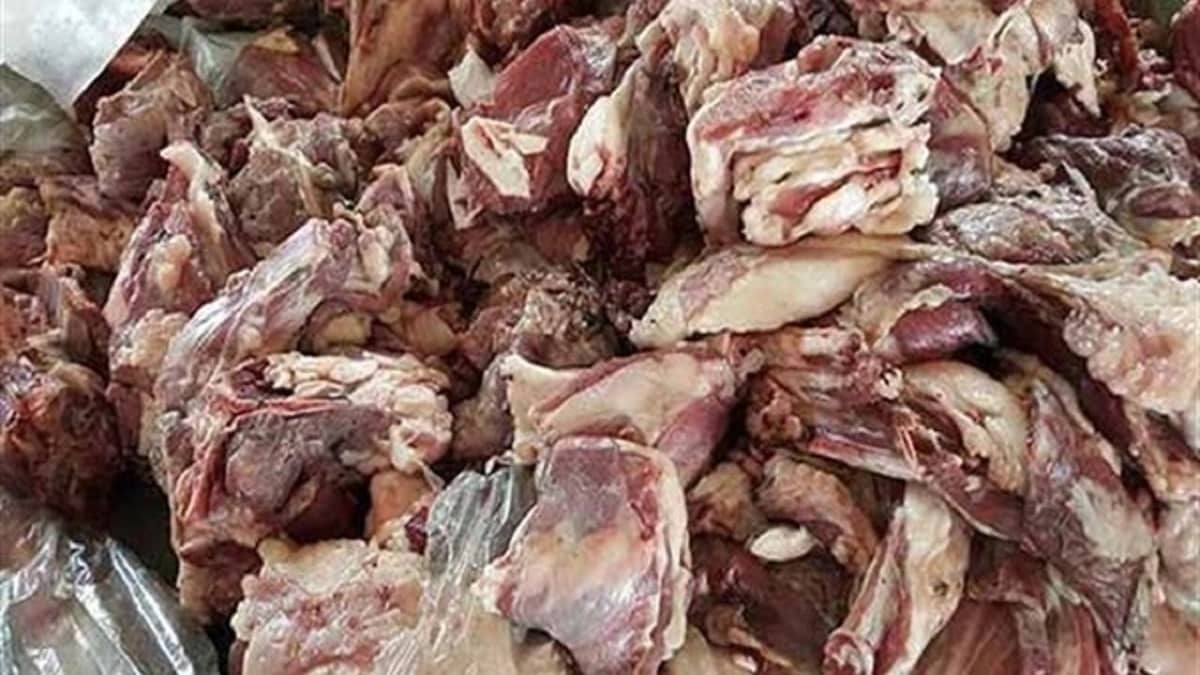 ضبط مسلخين مخالفين ولحوم فاسدة في الأحساء