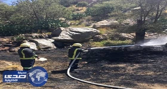 السيطرة على حريق في أشجار " العرعر " بالطائف