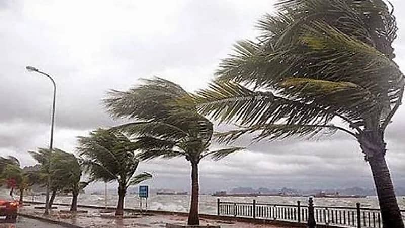 الأرصاد: رياح شديدة على منطقة تبوك