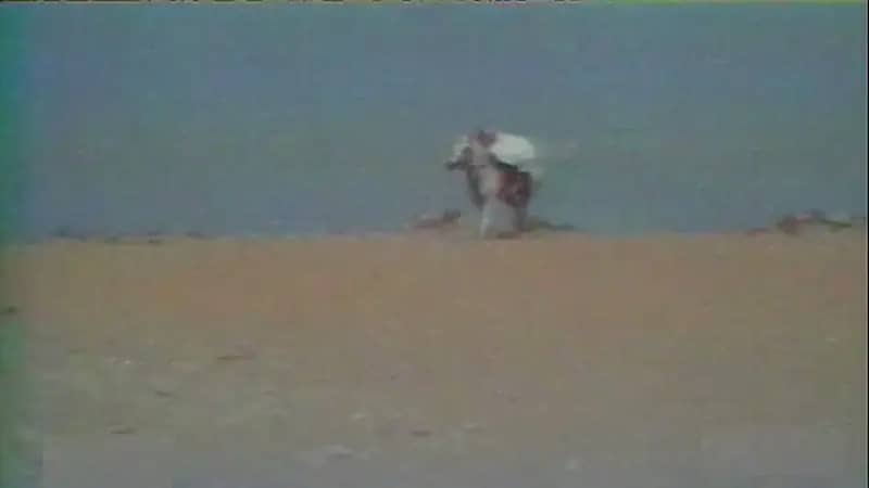 قصة هادي بن قرملة الذي حارب بضراوة وقاتل ببأس (فيديو)