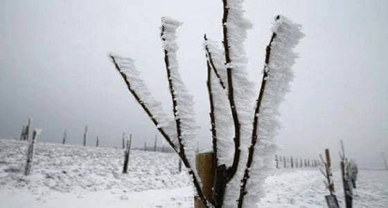 بالصور..لمدة 10 ايام ..درجات الحرارة تتدنى لأقل من الصفر في سويسرا