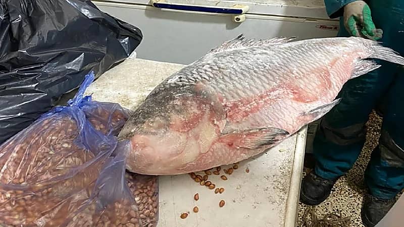 شاهد.. لحظة تدمير تعزيزات كبيرة للحوثيين في مأرب بواسطة طيران التحالف