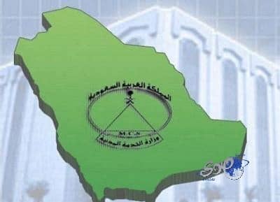 بالأسماء..دعوة 100 من المتقدمات على الوظائف التعليمية النسوية للمطابقة