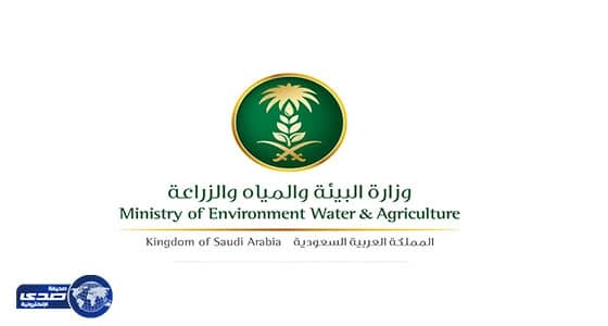 " البيئة " تصدر أول ترخيص تصدير البطاطس والذرة