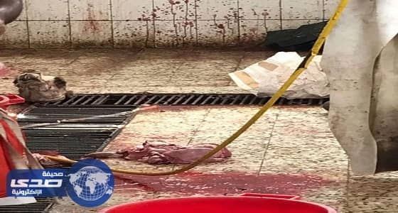 رئيس بلدية محايل: افتتاح مسلخ جديد قريباً