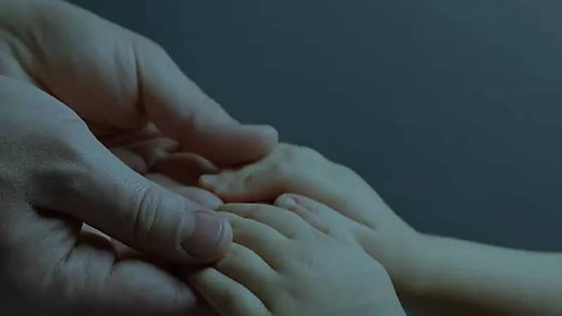 الضمان الاجتماعي يوضح آلية تحديد تبعية المحضونين في حالات الانفصال أو الخلاف الأسري