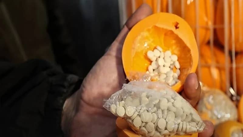 لبنان يحبط تهريب كمية كبيرة من المخدرات إلى دول خليجية