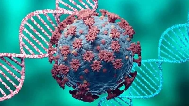 "الصحة العالمية": أوميكرون يصيب الملقحين والمتعافين من كورونا