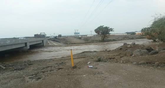 بلدية الساحل تجبر تجار الأعلاف على الانتقال للسوق الجديد.. والتجار يرفضون لخطورة موقعه