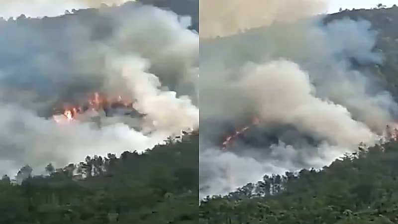 بالفيديو.. تحطم طائرة صينية على متنها 133 شخصًا