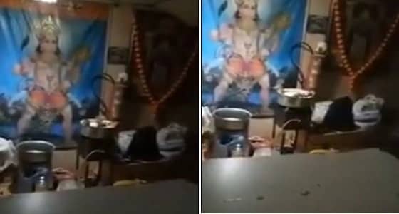 فيديو صادم لفئران تعبث بمطبخ مطعم