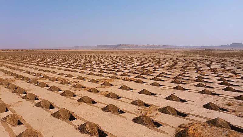 بدء المرحلة الأولى لزراعة "المليون شجرة" في محمية الملك عبدالعزيز الملكية