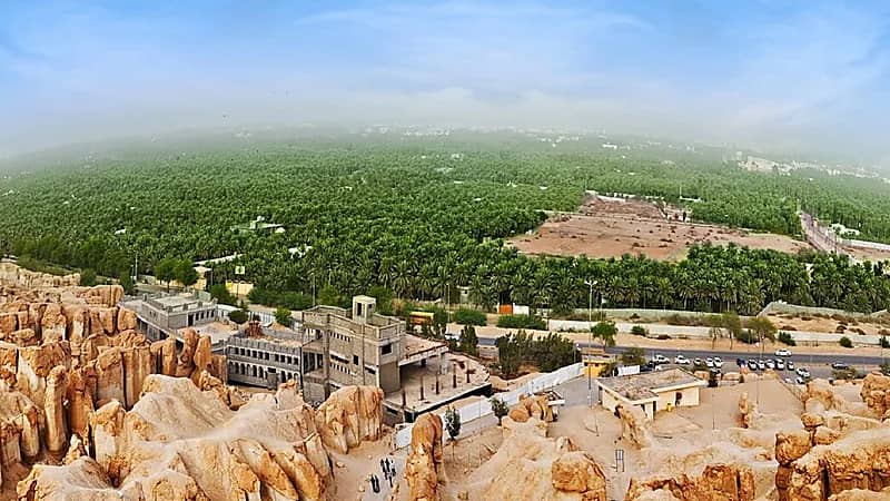 بالفيديو.. مختص يوضح أفضل المناطق السياحية لفصل الصيف بالمملكة