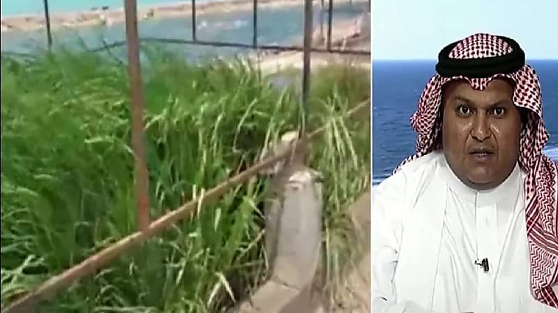 يوسف بندقجي : نجحت في زراعة الأرز في الصحراء بمواد مبتكرة محلياً (فيديو)