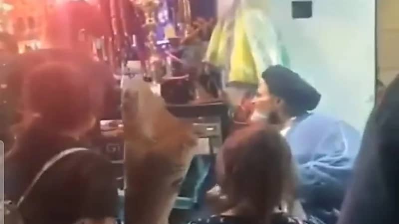 شاهد.. "الملا" يفضحه لسانه بأن عمامته لأجل معاشرة السيدات