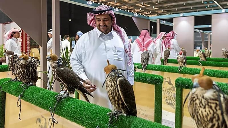 صقَّار سعودي يشتري 3 صقور بـ100 ألف ريال بالمزاد الدولي