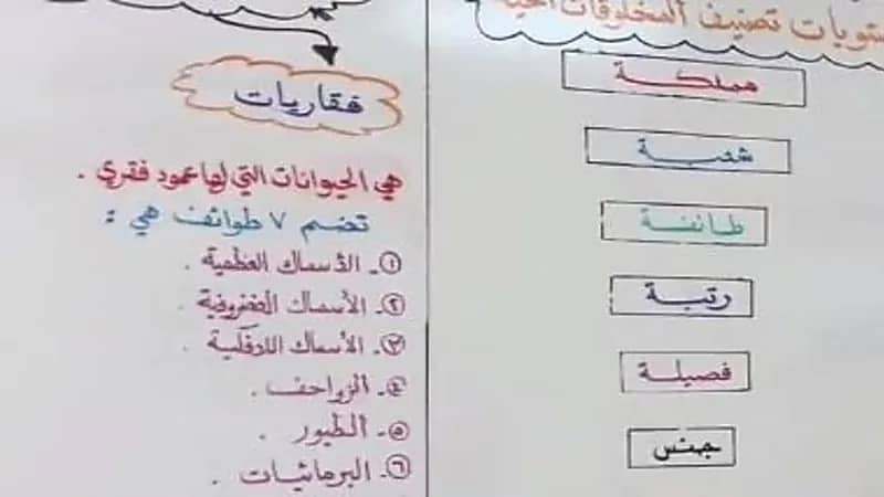 معلم ينظم سبورة الفصل بطريقة مذهلة