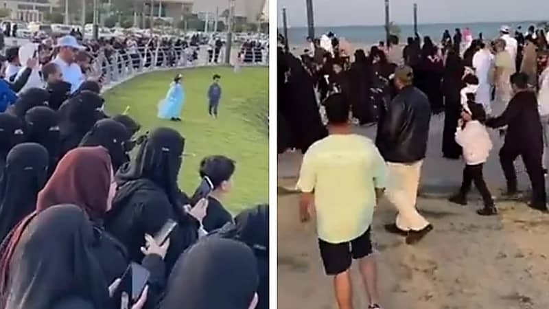 زحام شديد على كورنيش الخبر لمشاهدة صداقة البطة والقط .. فيديو