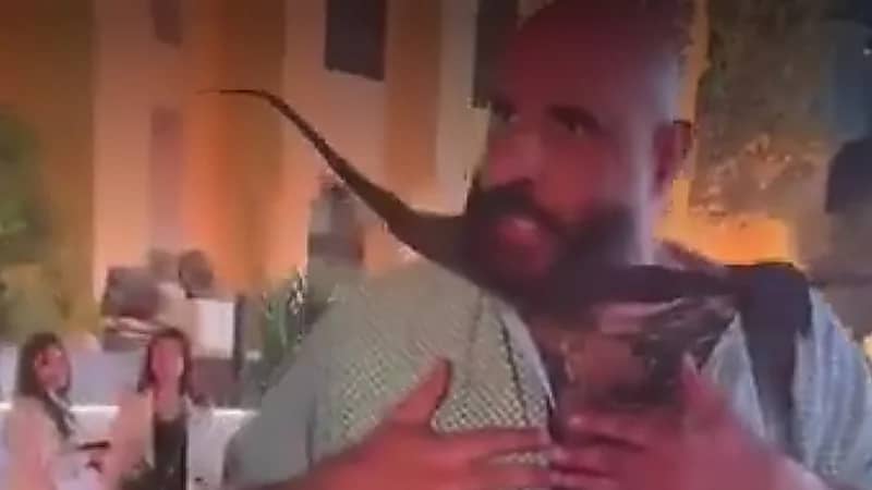 انفعال ممثل مصري لتجاهل المصورين بمهرجان القاهرة ... فيديو