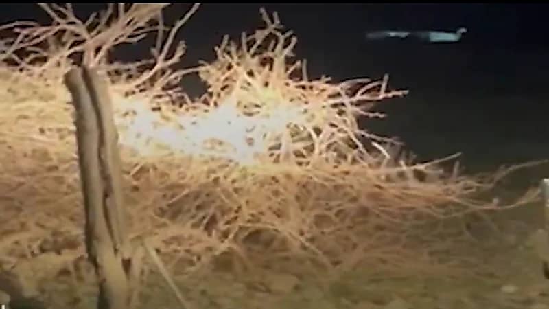 ضبط 38 مخالفًا لنظام البيئة خلال أسبوع .. فيديو