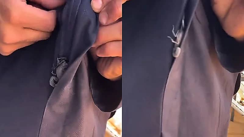 شاب يعيش لحظات مرعبة بعد عثوره على ضيف غير مرغوب به بين ملابسه