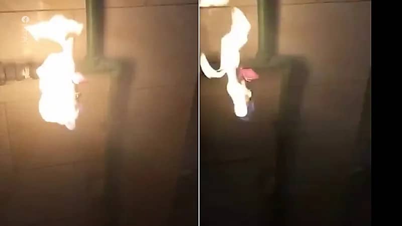 صنابير مياه تُخرج نارا في قرية مصرية .. فيديو