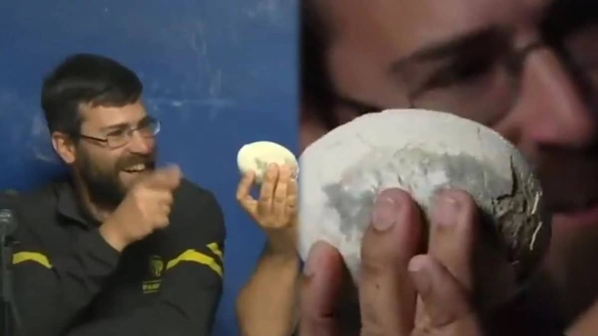 اكتشاف بيضة ديناصور سليمة عمرها 70مليون عام ..فيديو