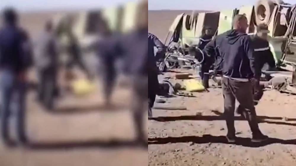 WhatsApp Image 2025-12-07 at 11.38.14 AM.jpeg