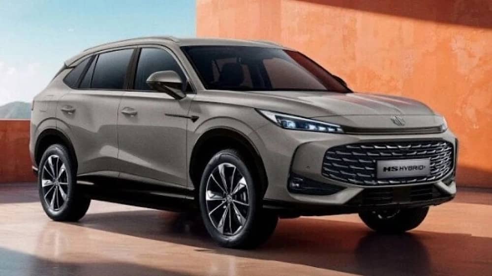 WhatsApp Image 2025-12-20 at 2.56.38 PM.jpeg